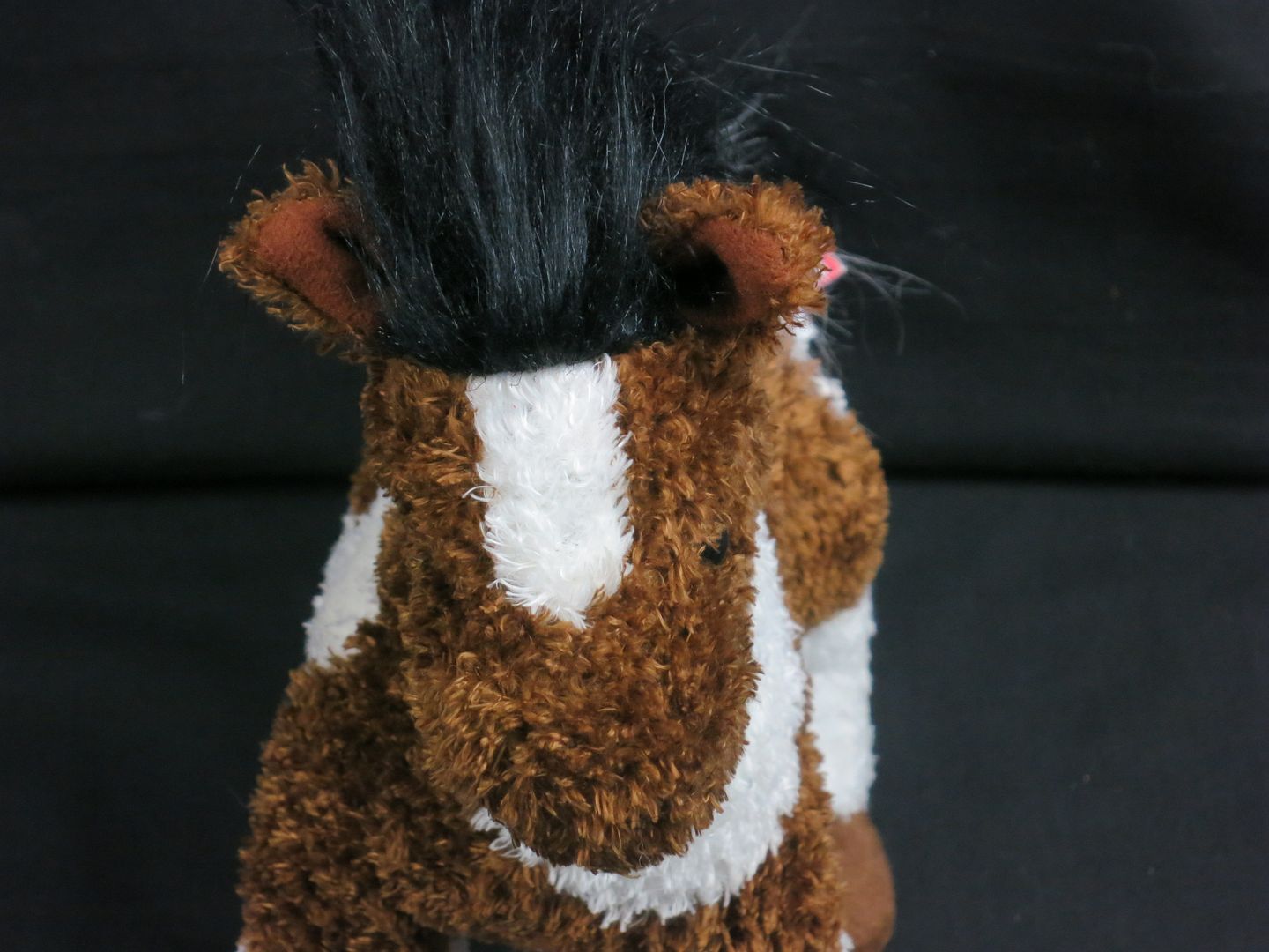 pinto plush
